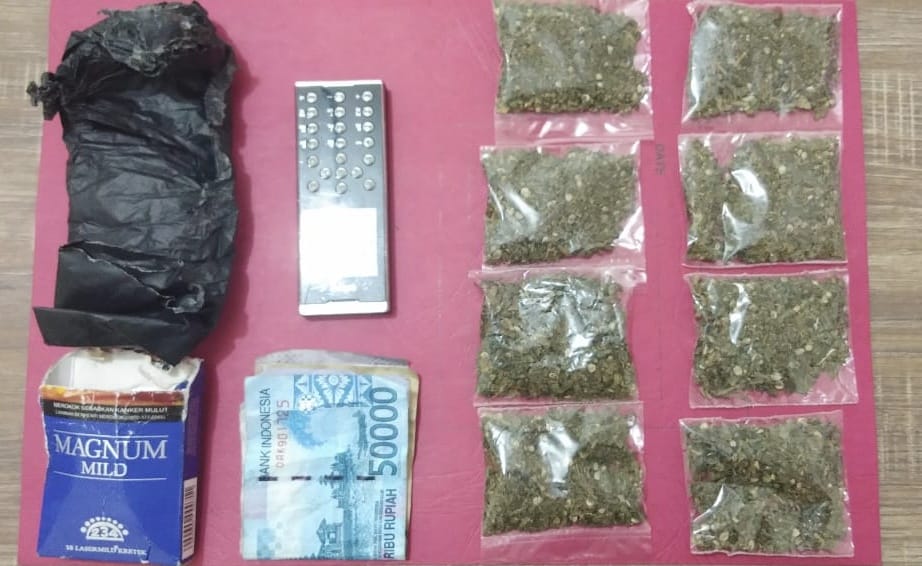 Miliki Delapan Bungkus Daun Ganja Kering EL Diamankan Pihak Kepolisian